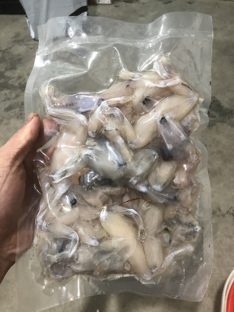 牛蛙小肉小号牛蛙牛蛙肉冰鲜蛙肉