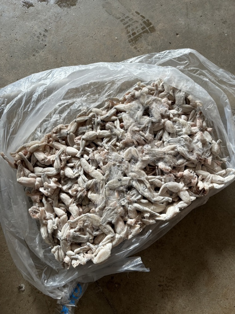 牛蛙小肉小号牛蛙牛蛙肉冰鲜蛙肉