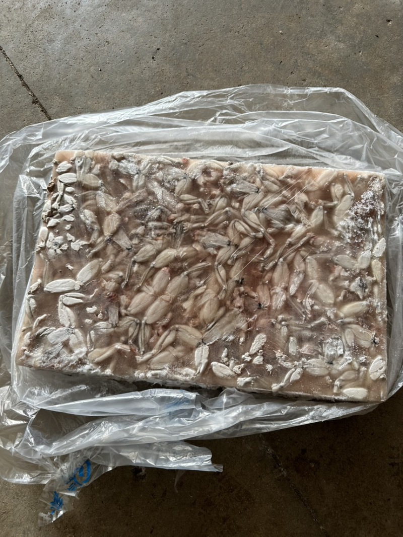牛蛙小肉小号牛蛙牛蛙肉冰鲜蛙肉