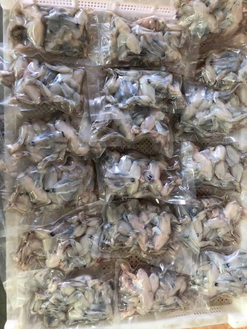 牛蛙小肉小号牛蛙牛蛙肉冰鲜蛙肉