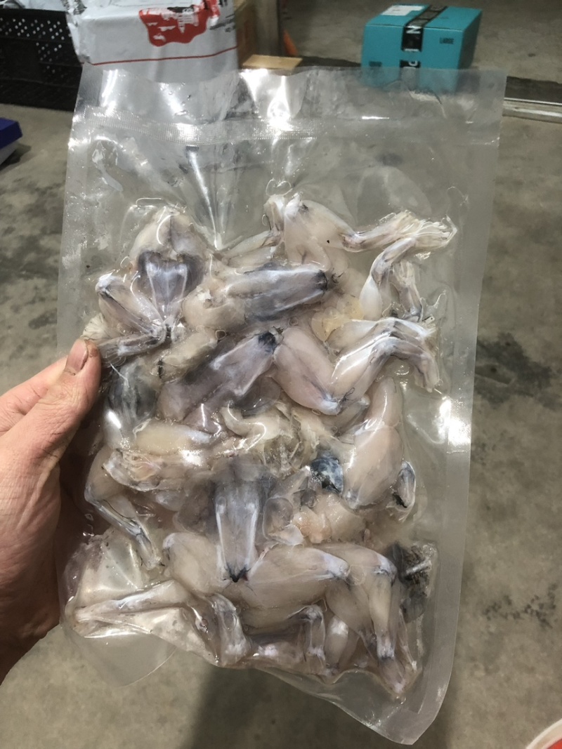 牛蛙小肉小号牛蛙牛蛙肉冰鲜蛙肉