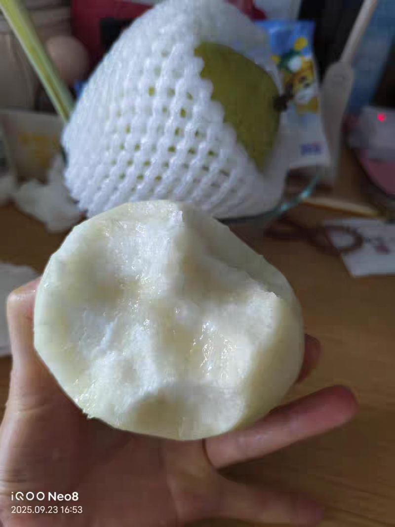 正宗雪梨河北雪花梨赵州雪花梨新鲜梨子水果润肺冰糖雪梨甜酥