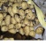 土豆种子:实验一号v7沃土五号雪川红希森六号适种范围广