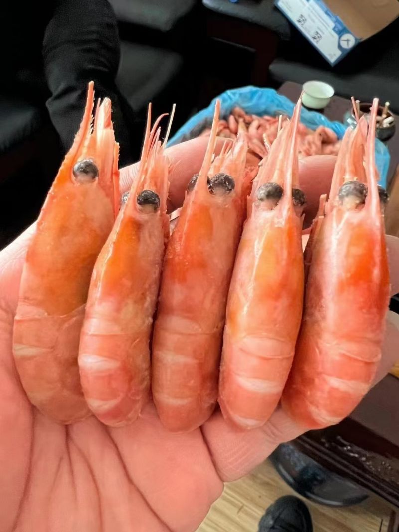 北极甜虾头籽甜虾少量规格齐全