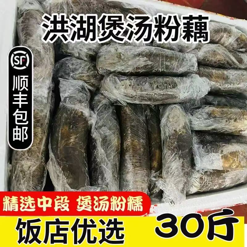 洪湖莲藕基地直发一件代发正宗粉藕顺丰