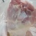 500天老鸡排腿