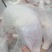 500天老鸡排腿