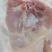 500天老鸡排腿