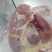 500天老鸡排腿
