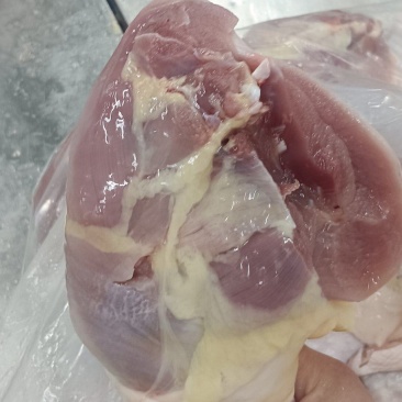 500天老鸡排腿