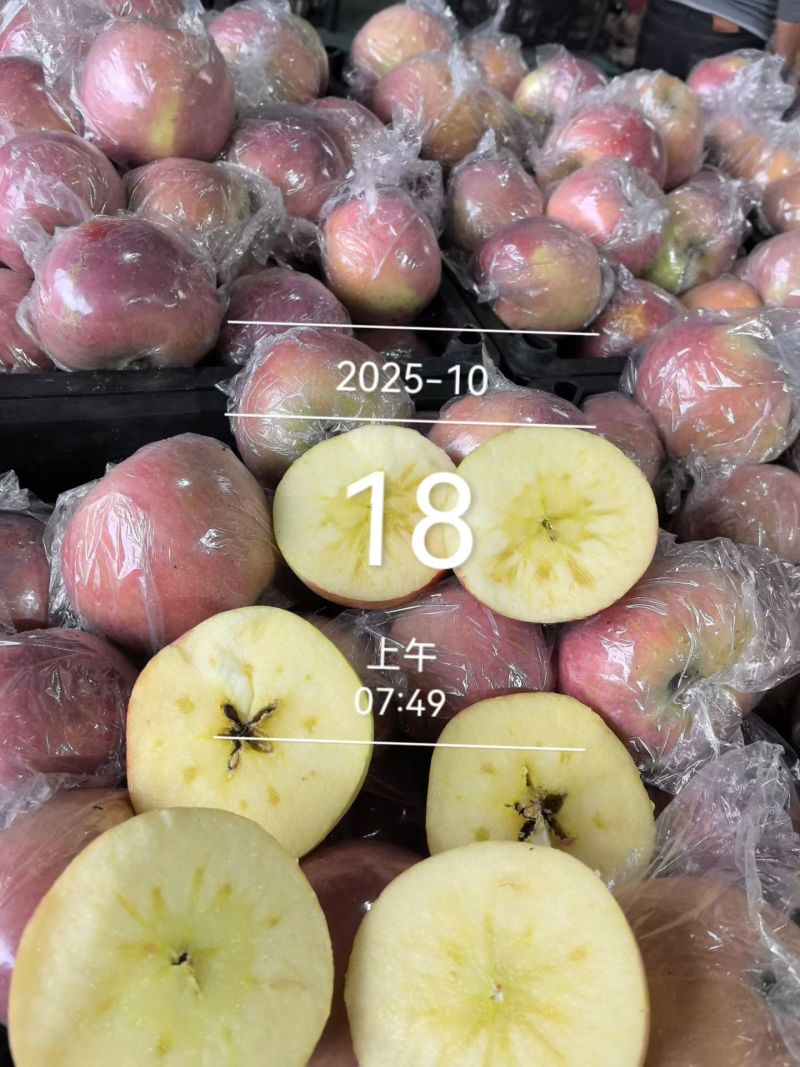 西部冰糖心苹果