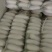 白萝卜，湖北白萝卜上市了，大量供应，诚信经营