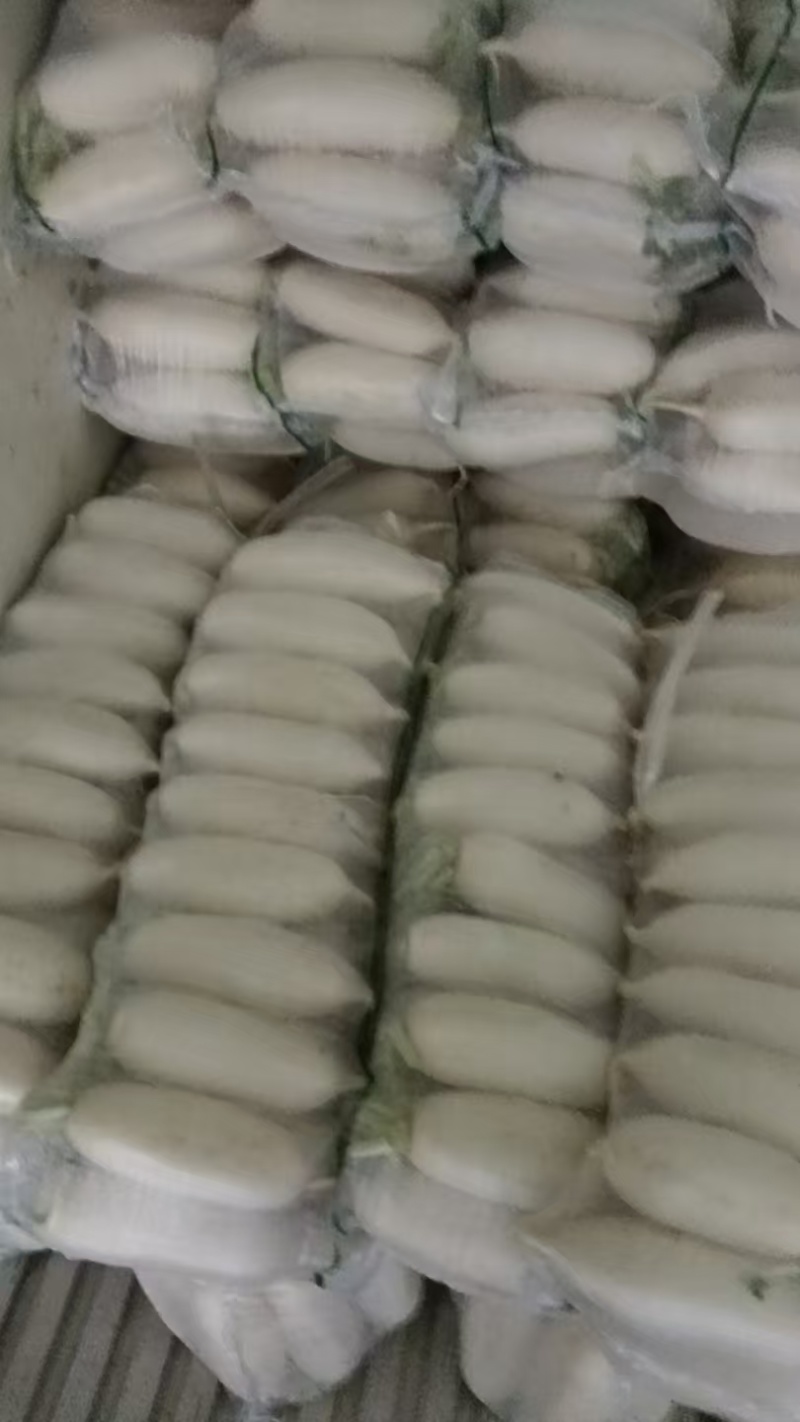 白萝卜，湖北白萝卜上市了，大量供应，诚信经营
