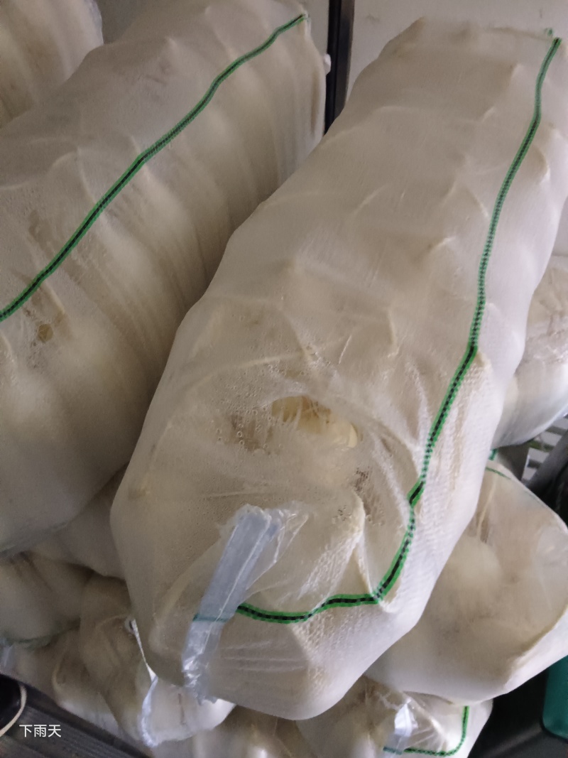 白萝卜，湖北白萝卜上市了，大量供应，诚信经营