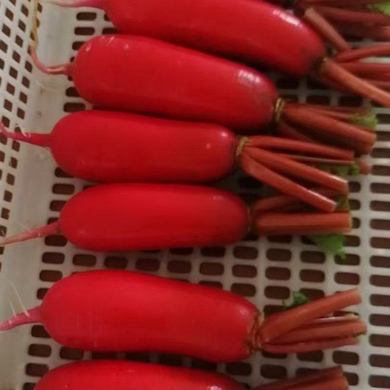 咯不
