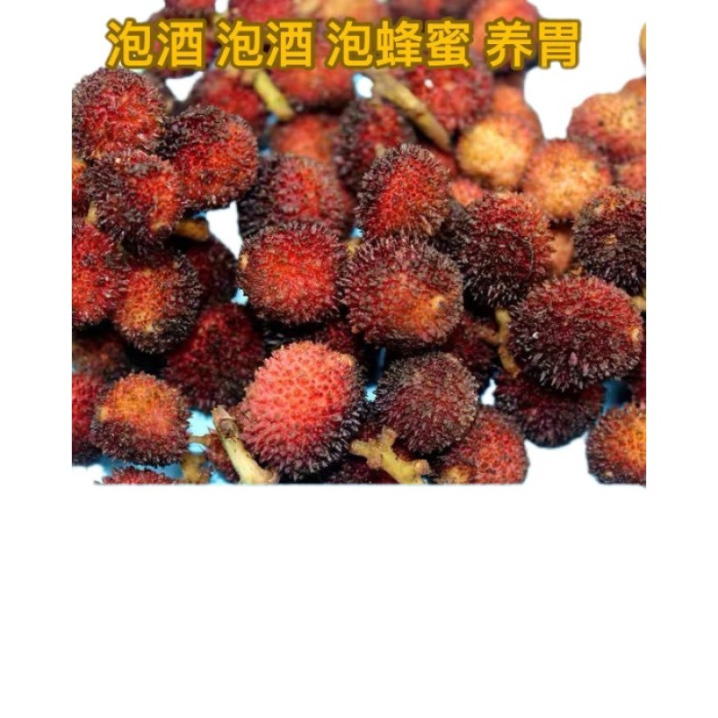 阳春春砂仁产地批发现摘现卖鲜货产地发货