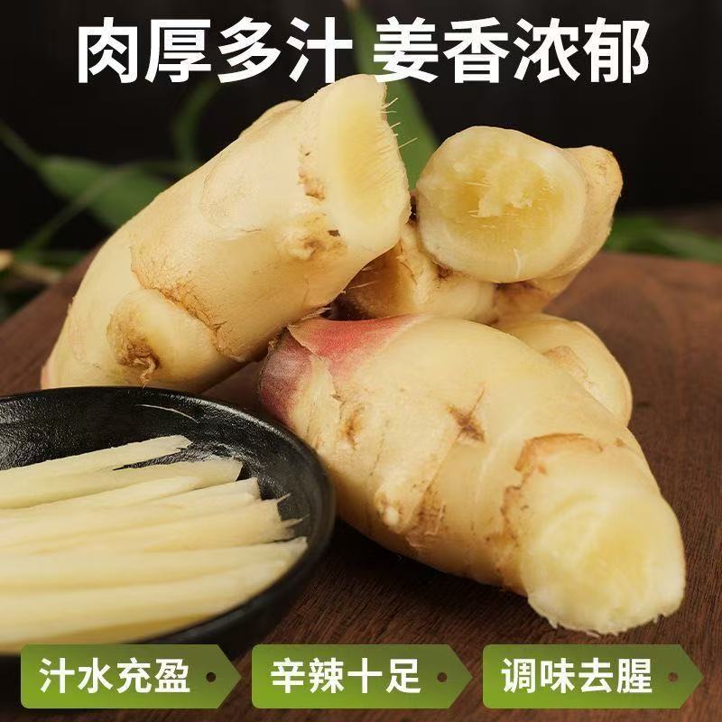 原产地种植红芽鲜姜随时批发零售市场