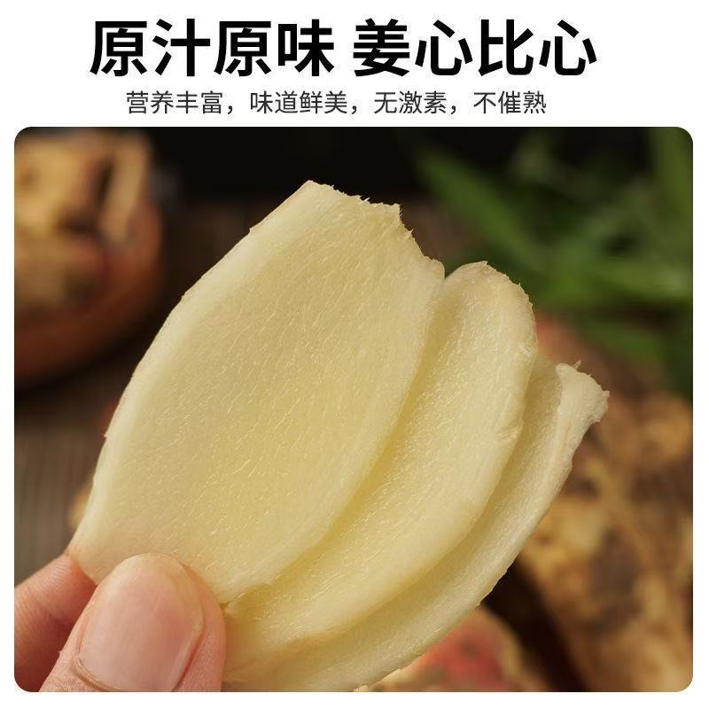 原产地种植红芽鲜姜随时批发零售市场