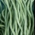 新鲜无筋豆架豆王云南当季蔬菜四季豆豆王