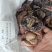 单冻去肚乌鸡胗