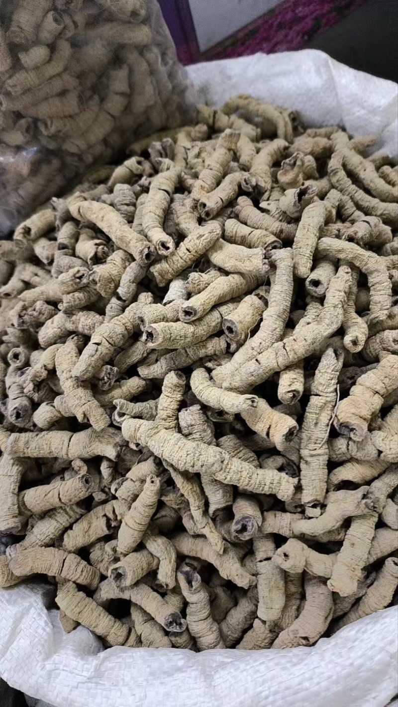 巴戟天***特级野生抽心正品巴戟天批发零售