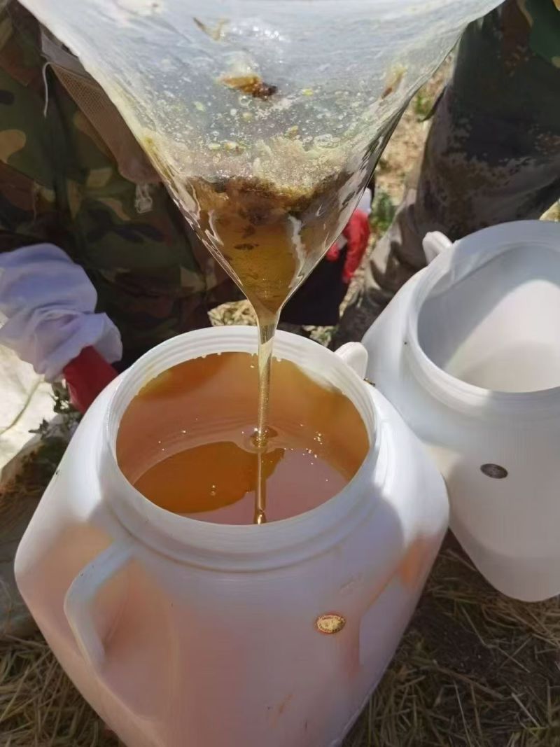 纯蜂蜜，百花蜜，椴树蜜，洋槐蜜，蜂王浆，农户自己养的蜂
