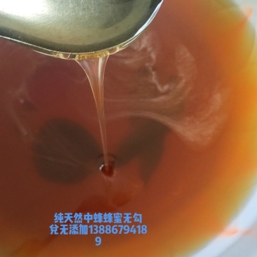 ***蜂蜜野花蜜百花蜜土蜂蜜中蜂蜜