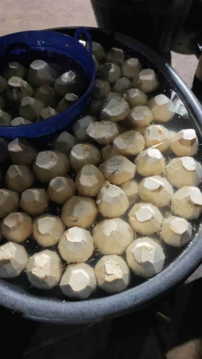 毛椰2.5元工厂直营/椰子水/椰子肉/香水椰