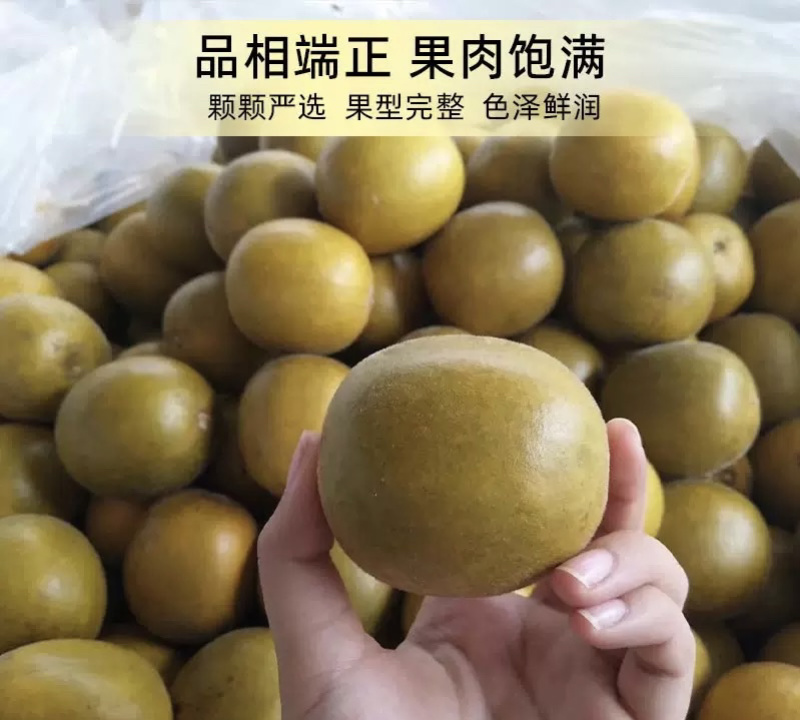 黄金罗汉果干果广西桂林特产罗汉果茶泡水喝货源充足