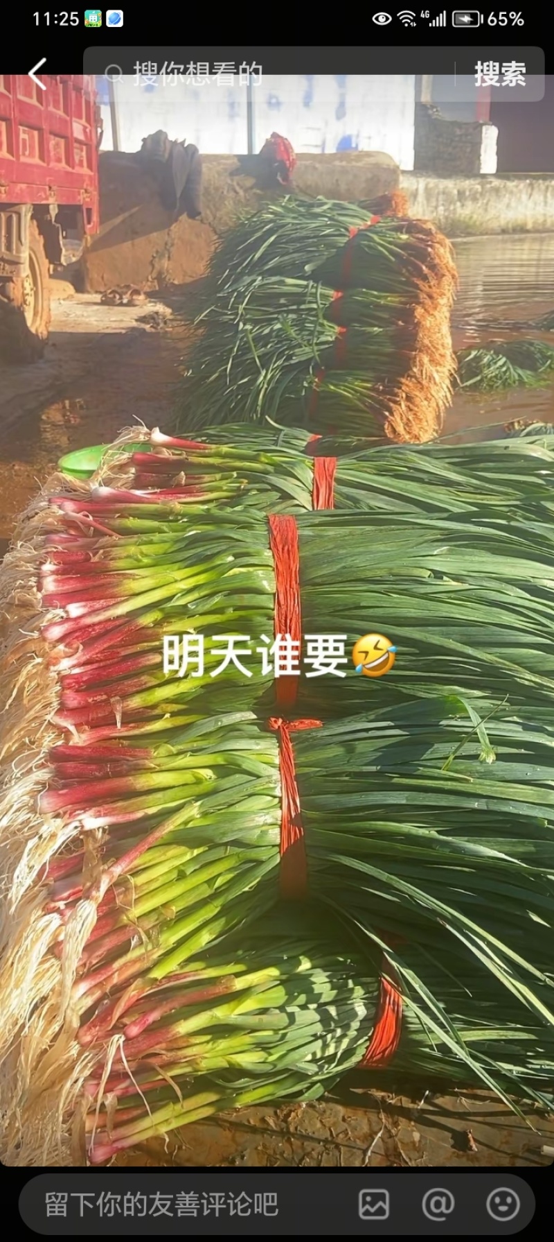 云南泸西紫甘蓝，10000公斤起售，单价一块一公斤