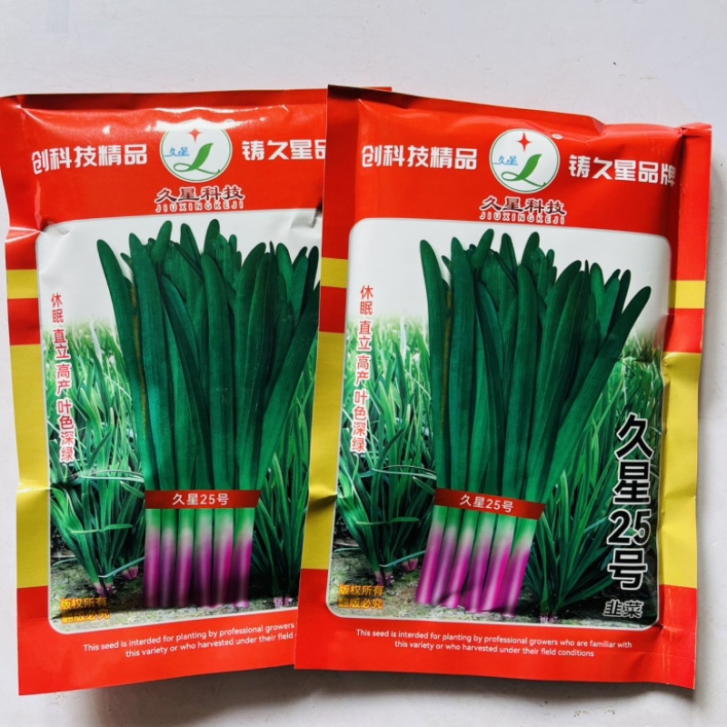 久星25号红根韭菜种子现货，直立型高产品种种子