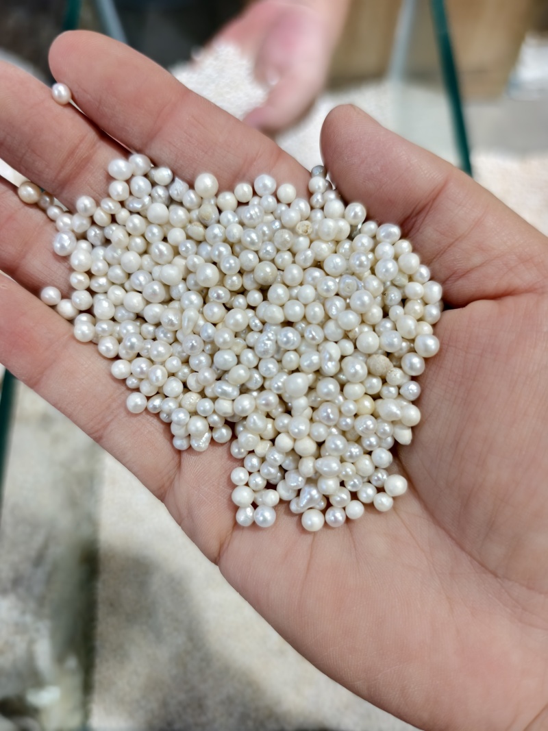 珍珠珍珠粉保证正品支持代发打粉量大可优惠批发价