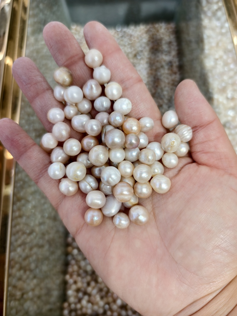 珍珠珍珠粉保证正品支持代发打粉量大可优惠批发价
