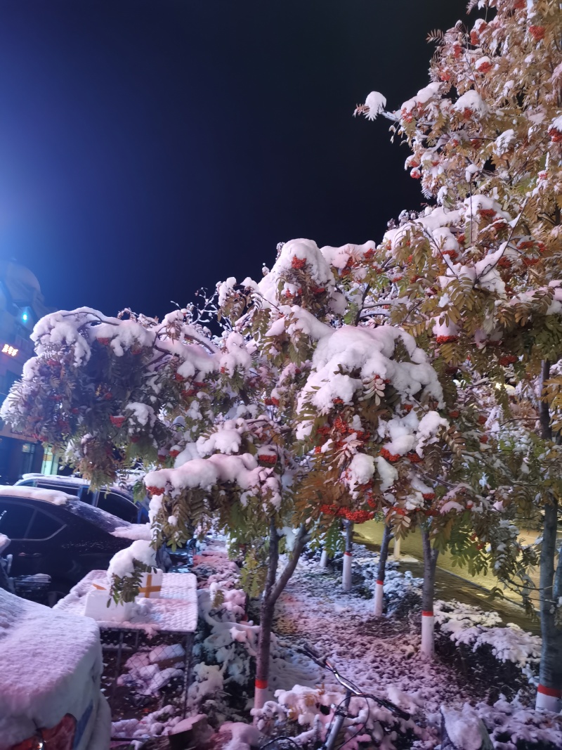 特价！1.84/斤当珍珠米陈米，沈阳全国可发