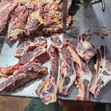 黄膘牛胸骨