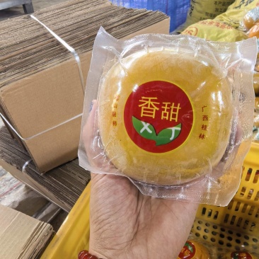 广西恭城柿子