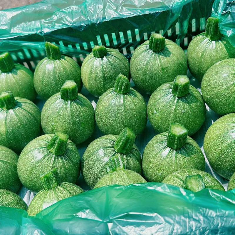 云南新鲜嫩南瓜小瓜圆西葫芦
