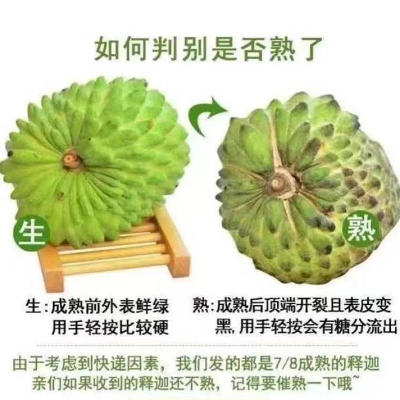 云南释迦果牛奶水果番石榴罕见水果凤梨