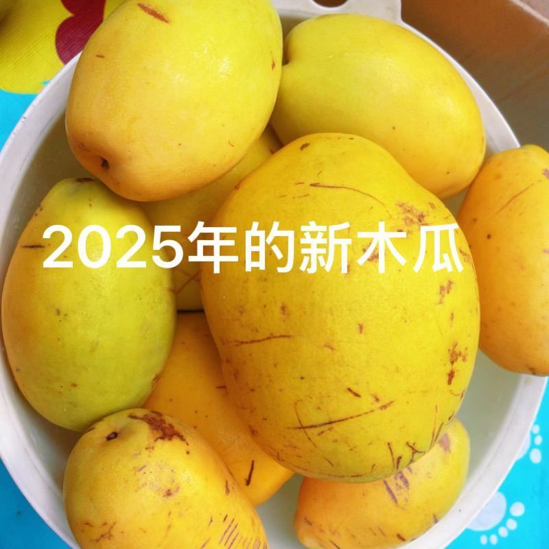 木瓜