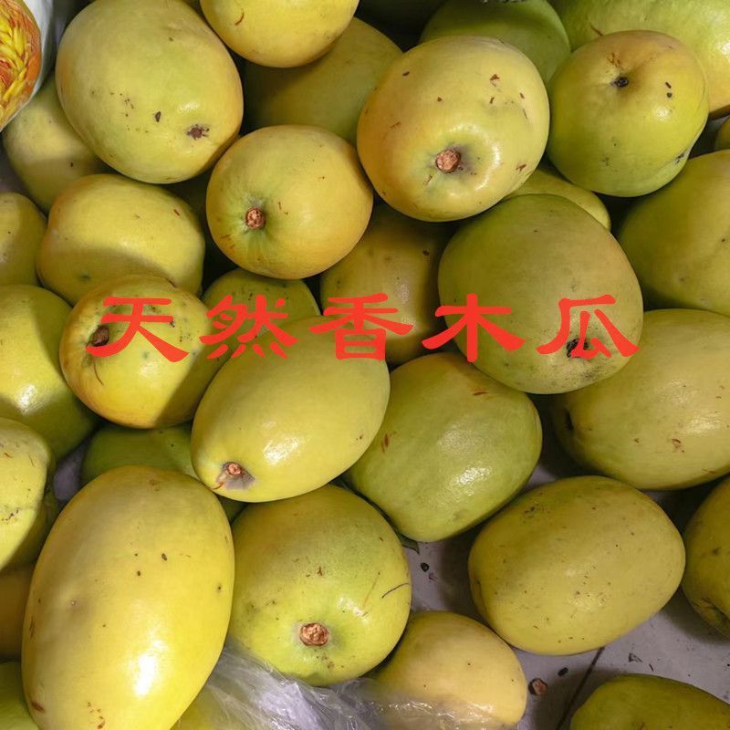 木瓜
