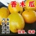 木瓜