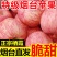 红富士苹果一件代发对接全平台
