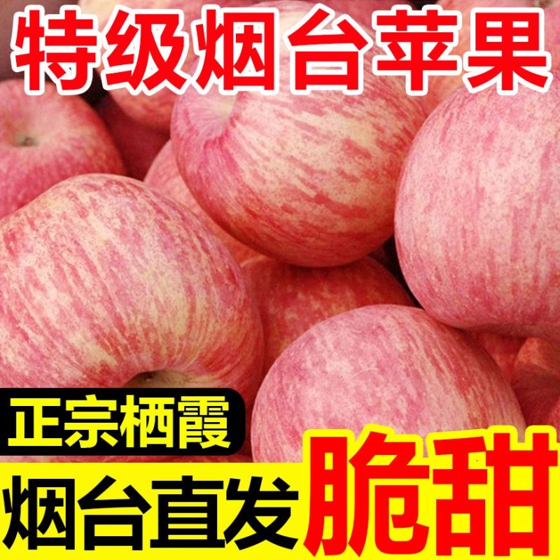 红富士苹果一件代发对接全平台