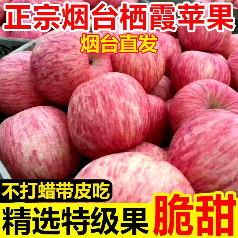 红富士苹果一件代发对接全平台