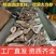 国产深海乌参大乌参海茄参即食海参冷冻参酒店食材餐饮