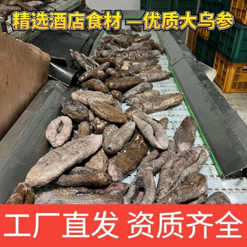 国产深海乌参大乌参海茄参即食海参冷冻参酒店食材餐饮