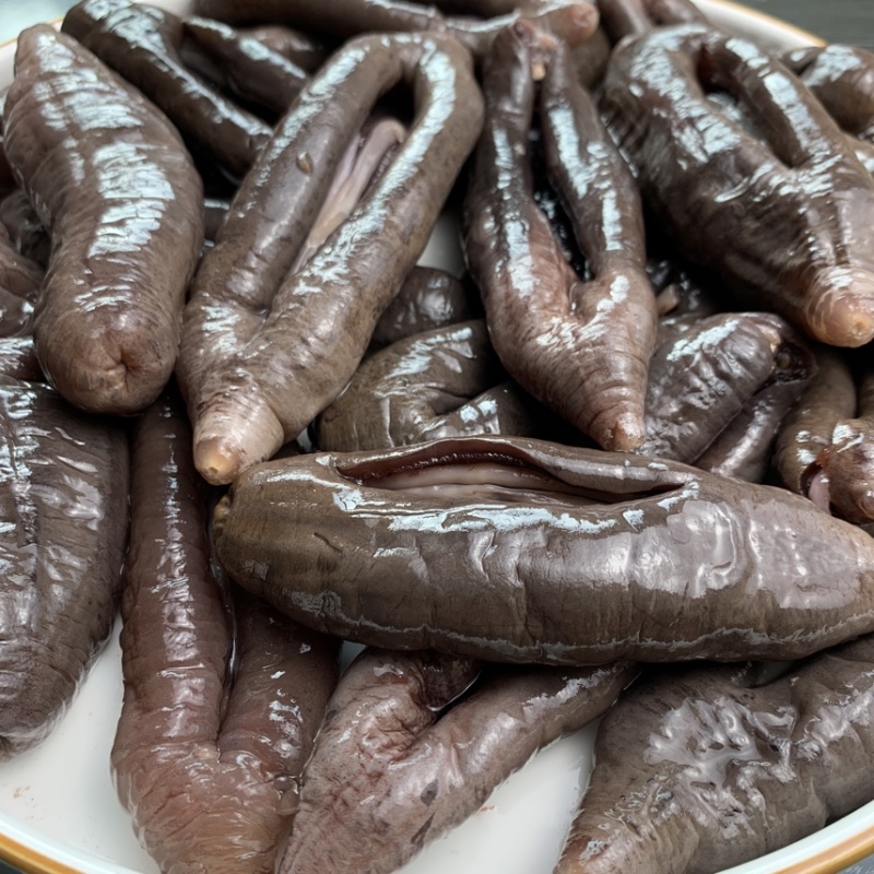 国产深海乌参大乌参海茄参即食海参冷冻参酒店食材餐饮