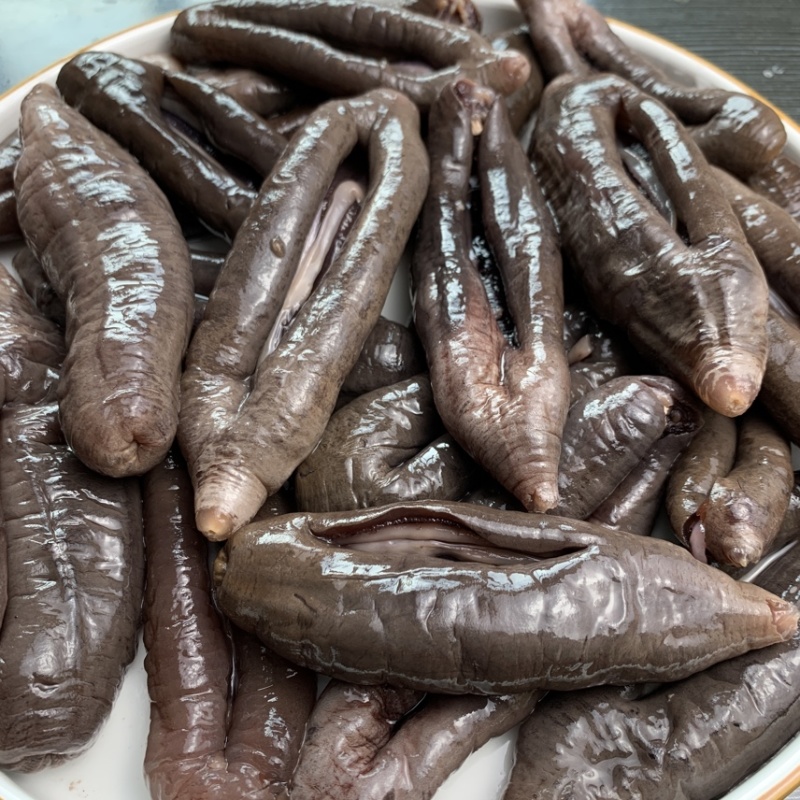 国产深海乌参大乌参海茄参即食海参冷冻参酒店食材餐饮