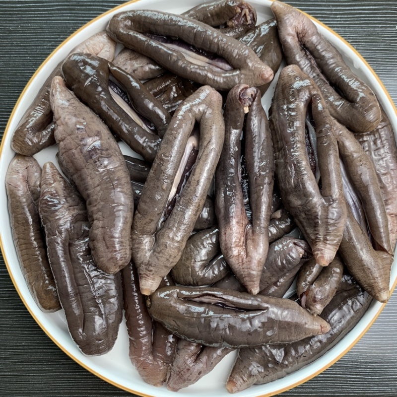 国产深海乌参大乌参海茄参即食海参冷冻参酒店食材餐饮