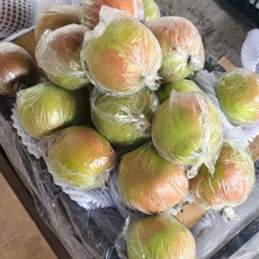 玉露香梨